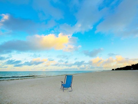 Framed Chair On Beach Print