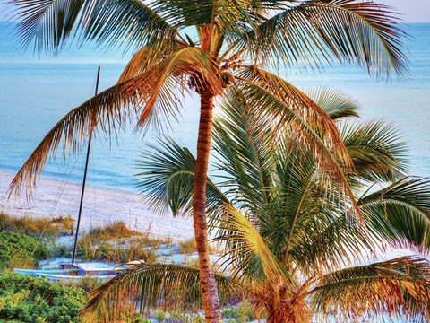 Framed Colors of Florida Print