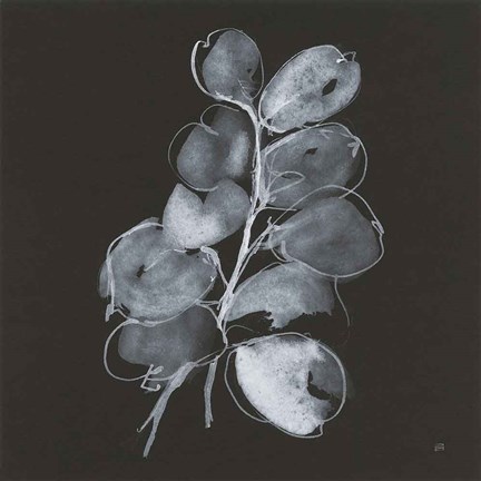 Framed White Eucalyptus II Print