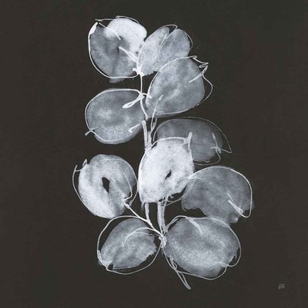 Framed White Eucalyptus I Print