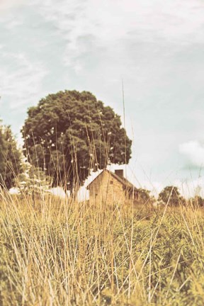 Framed Grass and Sky Light Print