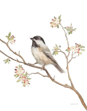 Framed Black Capped Chickadee v2 on White Print