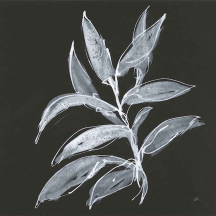 Framed Branch IV Print