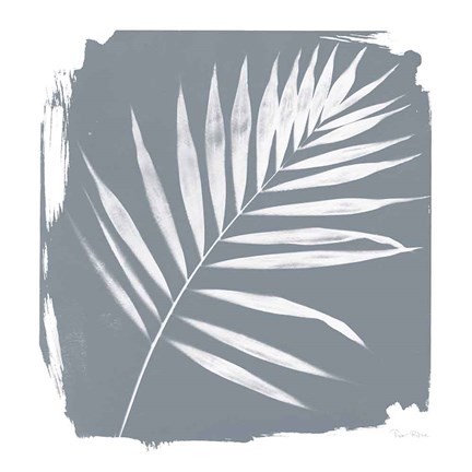 Framed Nature by the Lake Frond II Sq Natural Print