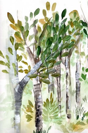 Framed Birch Forest I Print