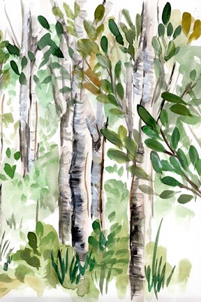 Framed Birch Forest II Print