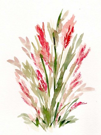 Framed Pink Lavender Print