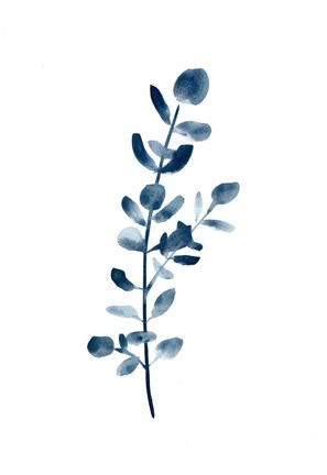 Framed Farmhouse Eucalyptus blue Print