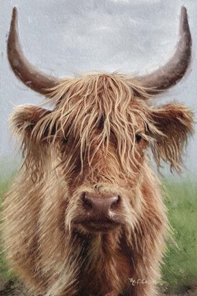 Framed Highland portrait II Print