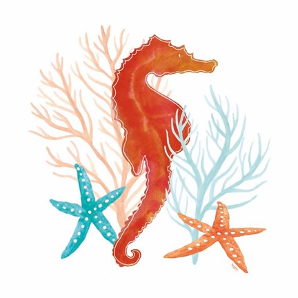 Framed Coral Aqua XI Print