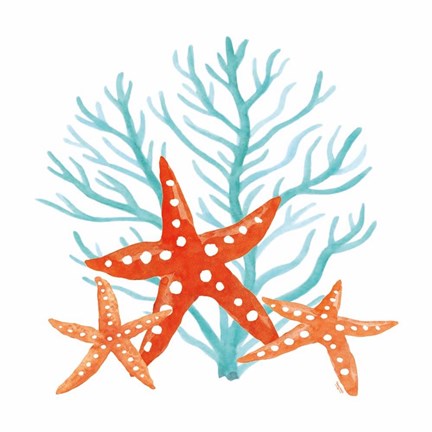 Framed Coral Aqua XIII Print