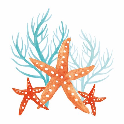 Framed Coral Aqua XIV Print