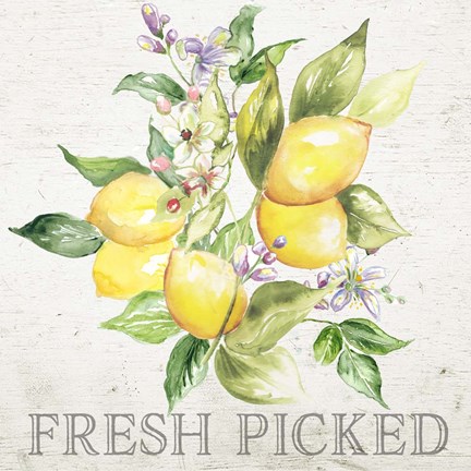 Framed Lemon Grove III Print