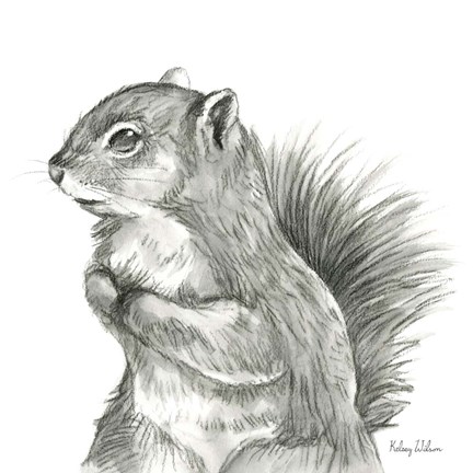 Framed Watercolor Pencil Forest IV-Squirrel Print