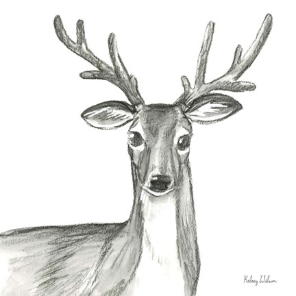 Framed Watercolor Pencil Forest VIII-Deer Print