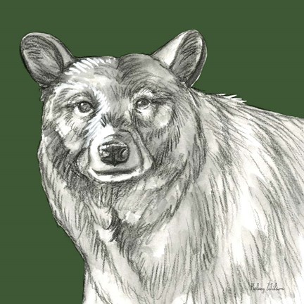 Framed Watercolor Pencil Forest color V-Bear Print