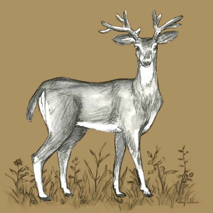 Framed Watercolor Pencil Forest color XI-Deer 2 Print
