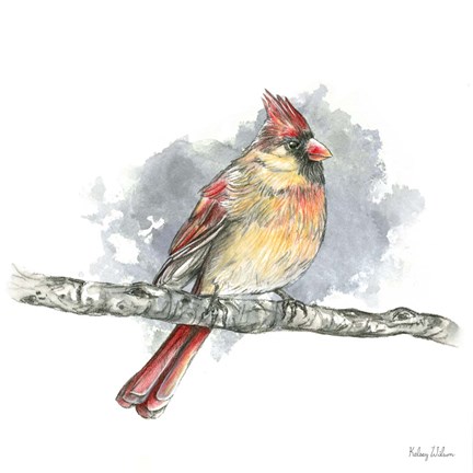 Framed Birds &amp; Branches II-Female Cardinal Print