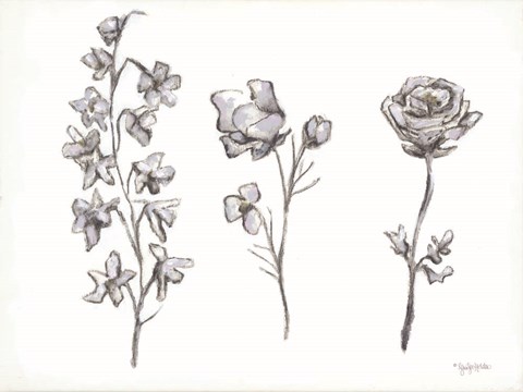 Framed Floral Trio Print