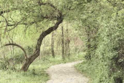 Framed Wildwood Lake Print