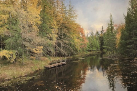 Framed Reflections of Nature Print