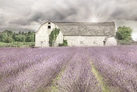 Framed Shades of Lavender and Gray Print