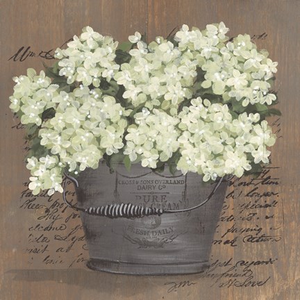 Framed Heavenly Hydrangeas II Print