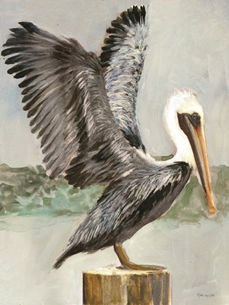 Framed Brown Pelican 2 Print
