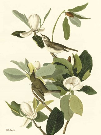 Framed Vintage Bird 2 Print