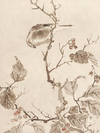 Framed Sumi Ink Study 1 Print