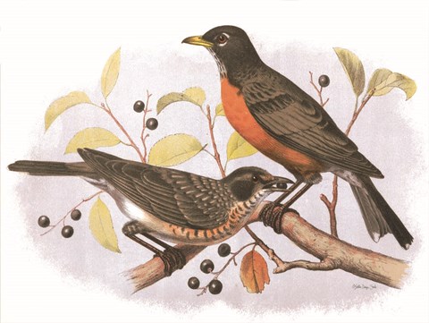 Framed Birds and Berries Print