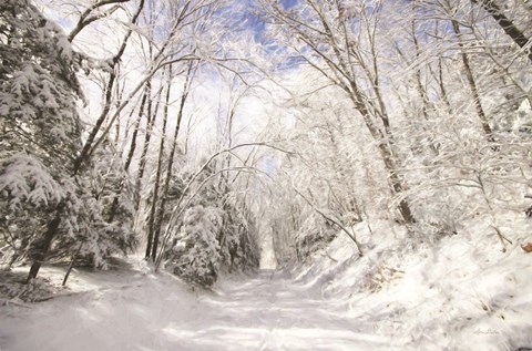 Framed Winter Storm Print