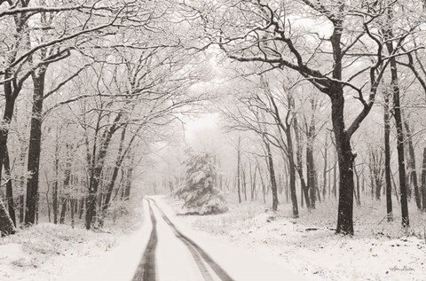 Framed Wintry Road Print