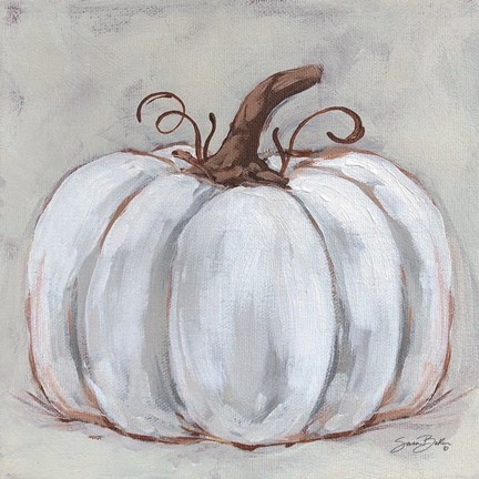 Framed Pumpkin Close-Up II Print