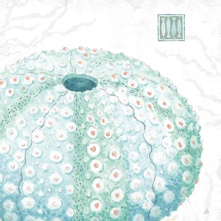 Framed Delicate Sea VIII Print