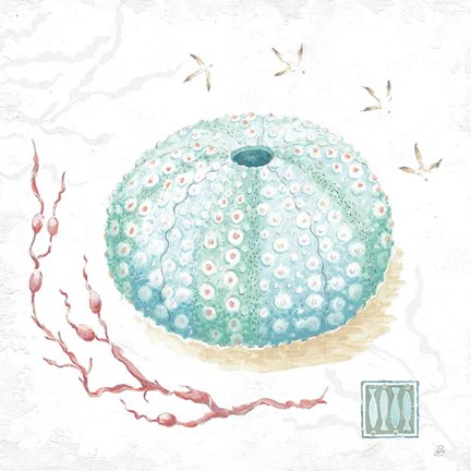 Framed Delicate Sea VII Print