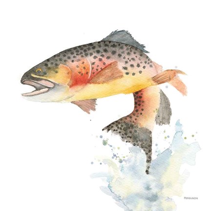 Framed Cutthroat Trout Print