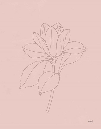 Framed Magnolia Line Drawing Pink Print