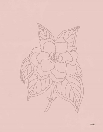 Framed Gardenia Line Drawing Pink Print