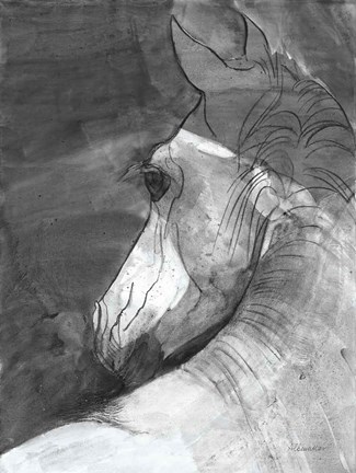 Framed Shadow BW Print