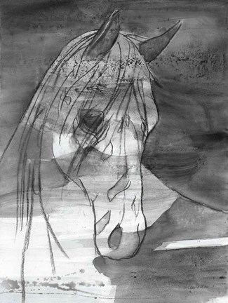 Framed Moonlight BW Print