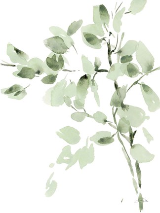 Framed Cascading Branches II Print