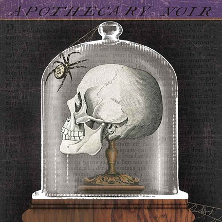 Framed Apothecary Noir II Print