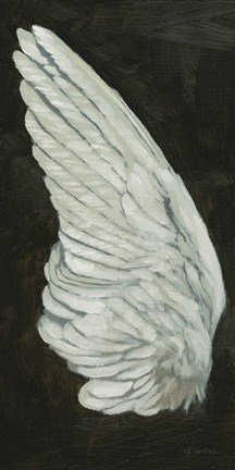 Framed Wings II Print
