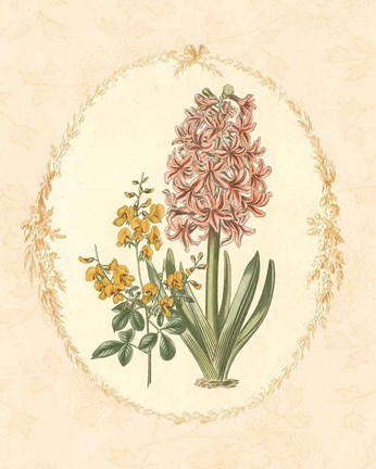 Framed Gentle Soul Bouquet II Print