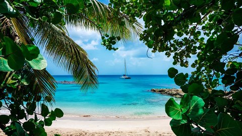 Framed Window to Paradise Print