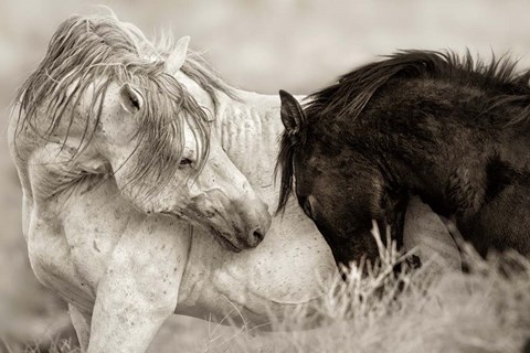 Framed Long Goodbye Print