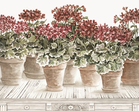 Framed Potted Geranium Mix III Print