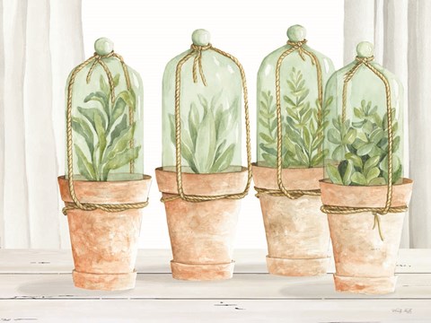 Framed Herb Collection Print