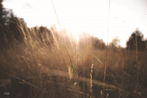 Framed Bright Sun Haze I Print